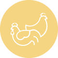 Meat production poultry complex