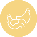 Poultry complex